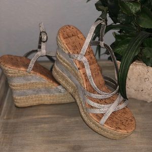 Metallic Silver Wedges